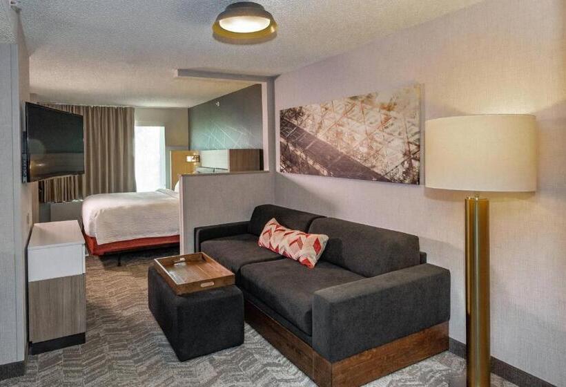Люкс Кровать Кинг, Springhill Suites Anchorage Midtown