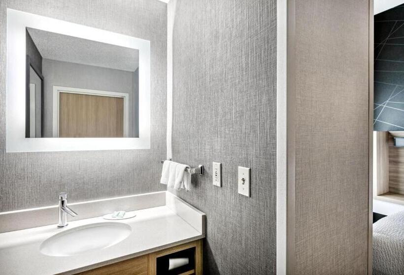 Люкс Адаптированный для Инвалидов, Springhill Suites Anchorage Midtown