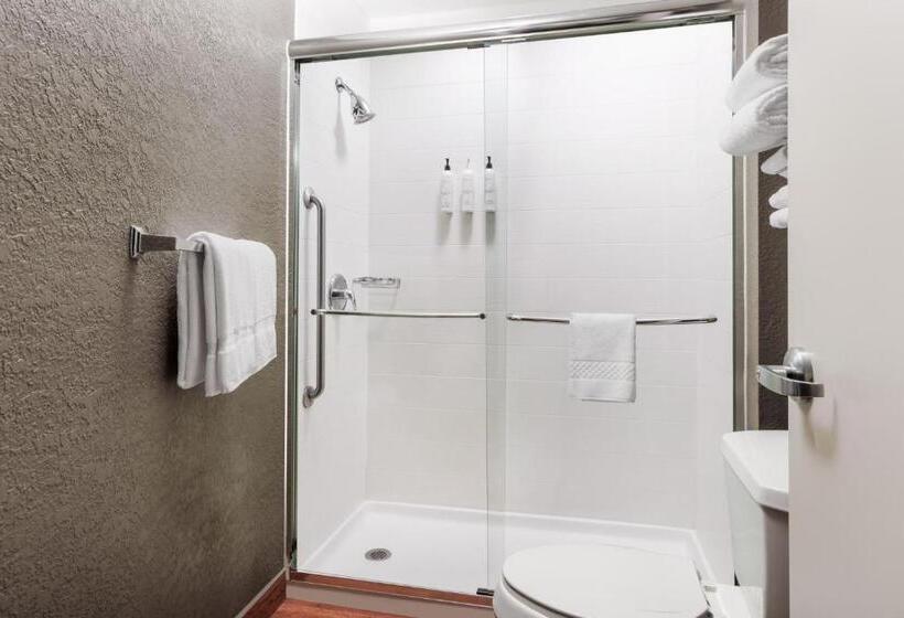 Студия Стандарт, Springhill Suites Providence West Warwick