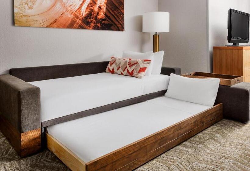 Студио Стандарт Кровать Кинг, Springhill Suites Providence West Warwick