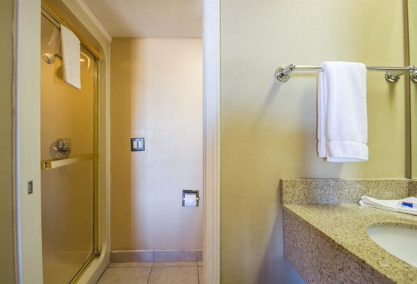 Quarto Standard 2 Camas Casal, Motel 6indianapolis, In  Airport