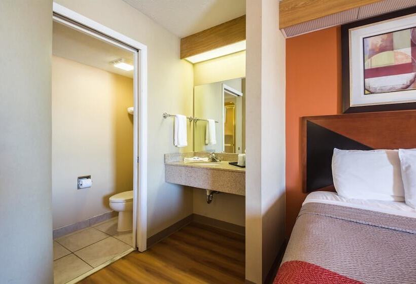 Quarto Standard 2 Camas Casal, Motel 6indianapolis, In  Airport