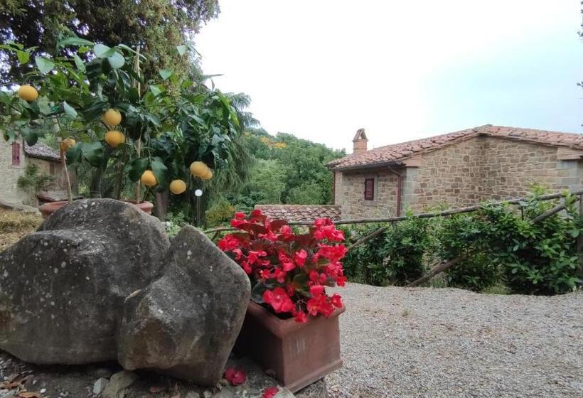 آپارتمان لوکس 1 خوابه, Agriturismo I Cedri