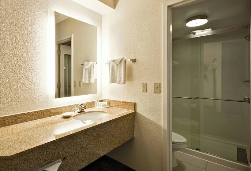 Люкс, Springhill Suites By Marriott San Antonio Medical Center/northwest
