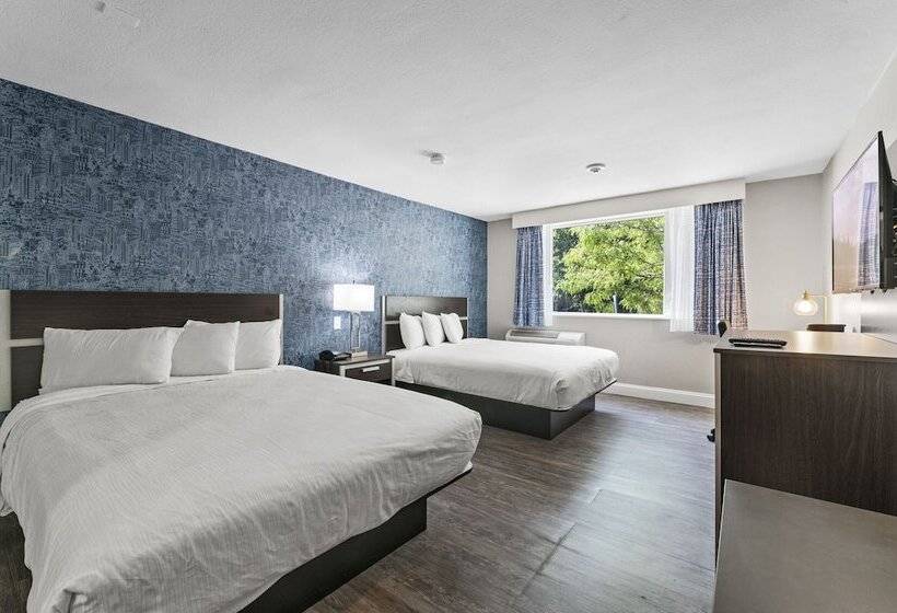 Номер Стандарт, Inn On Arsenal