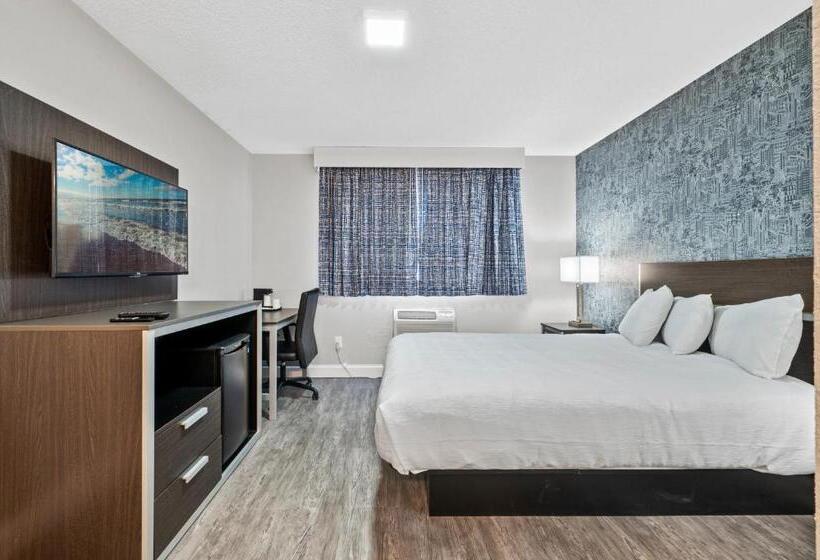 Номер Стандарт, Inn On Arsenal