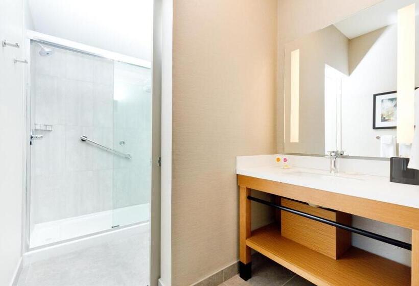 ２ダブルベッドのスタンダードルーム, Hyatt Place Kelowna