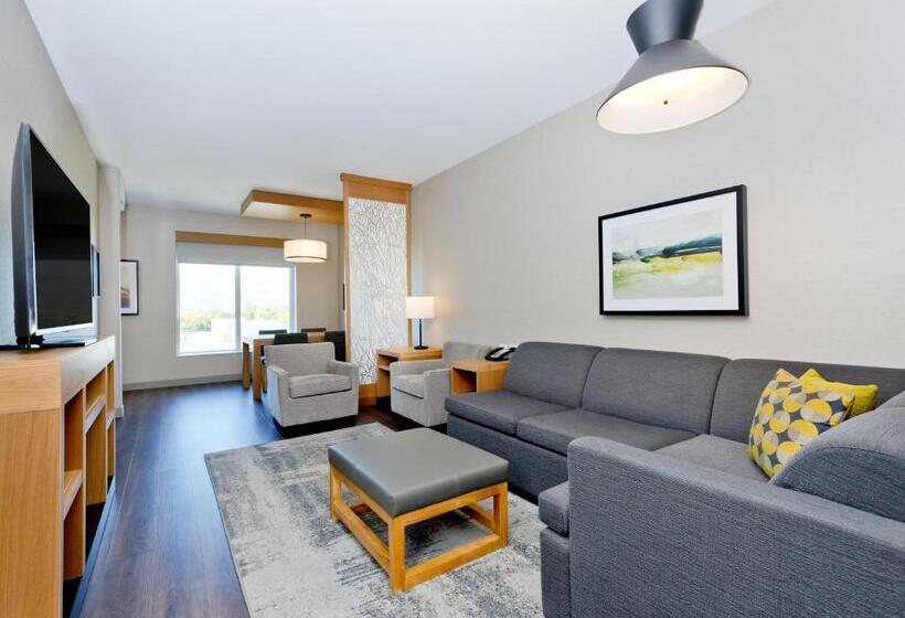 キングサイズベッドのスイートルーム, Hyatt Place Kelowna