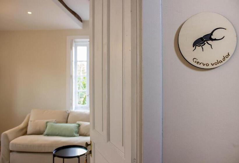 Апартаменты 1 Спальня, Hostal Lierganes Fluviarium Rooms
