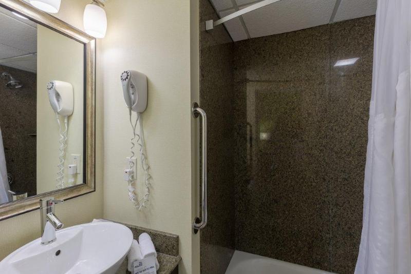 キングサイズベッドのスタンダードルーム, Holiday Inn Express & Suites   Atlanta Downtown, An Ihg