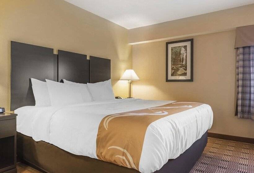 Люкс, Quality Inn & Suites