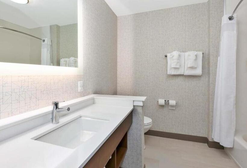 Люкс, Holiday Inn Express & Suites   Grand Rapids Airport   South, An Ihg
