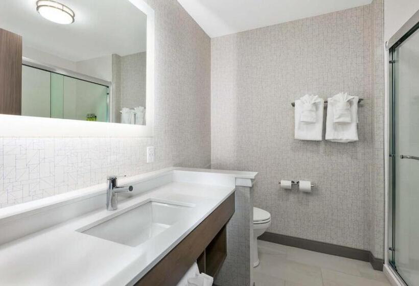 Люкс Адаптированный для Инвалидов, Holiday Inn Express & Suites   Grand Rapids Airport   South, An Ihg