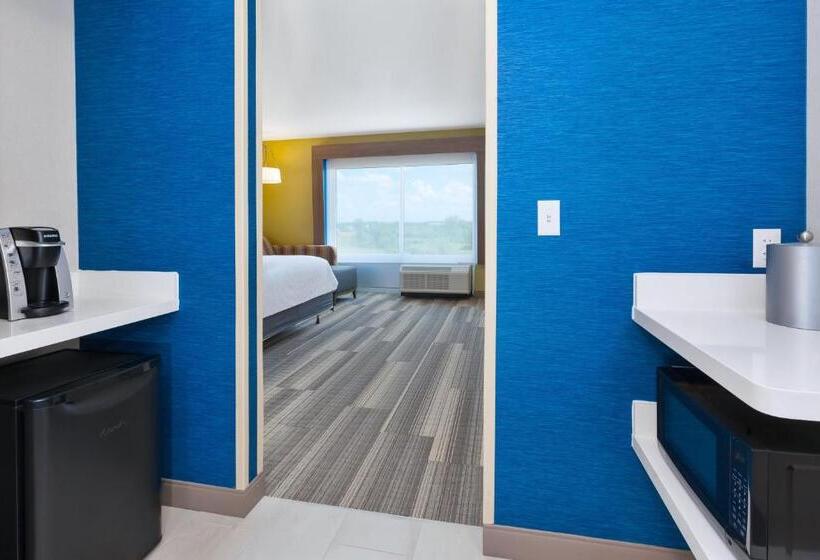 Люкс Адаптированный для Инвалидов, Holiday Inn Express & Suites   Grand Rapids Airport   South, An Ihg