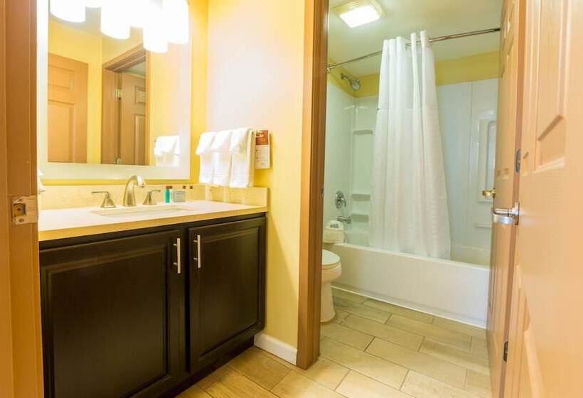 Люкс, Dulles Suites