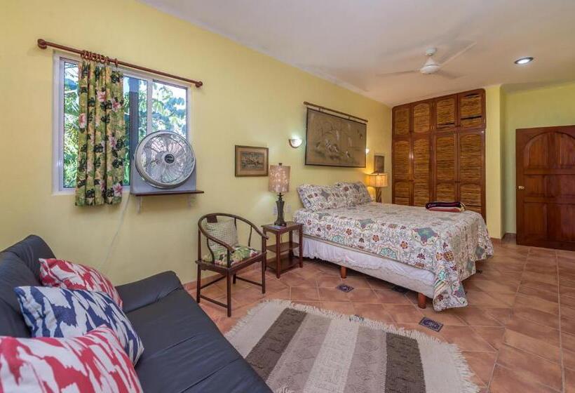 آپارتمان 1 خوابه با بالکن, Casa Gatos