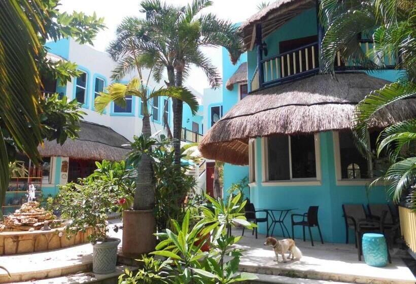 سوئیت با تخت بزرگ, Casa Gatos