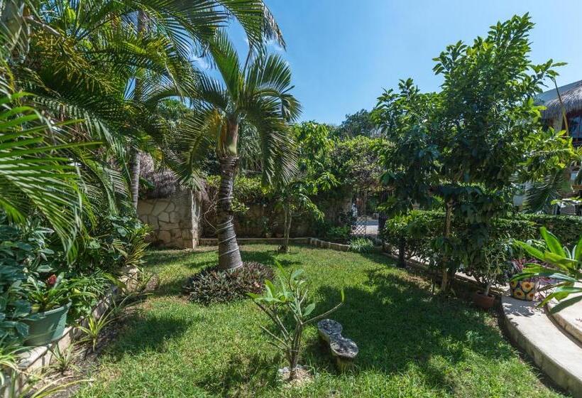 آپارتمان لوکس 1 خوابه, Casa Gatos