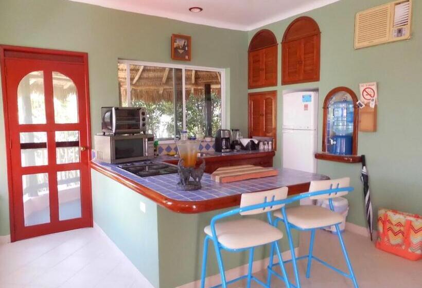 آپارتمان 1 خوابه, Casa Gatos