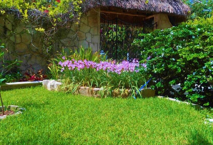 آپارتمان 1 خوابه با بالکن, Casa Gatos