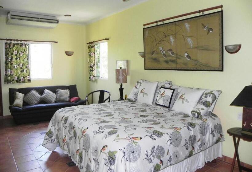 آپارتمان 1 خوابه با بالکن, Casa Gatos