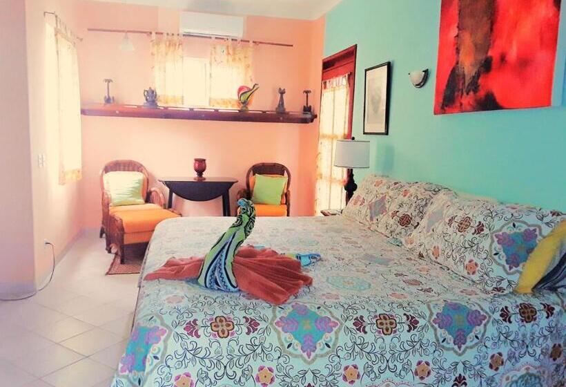 آپارتمان 1 خوابه, Casa Gatos