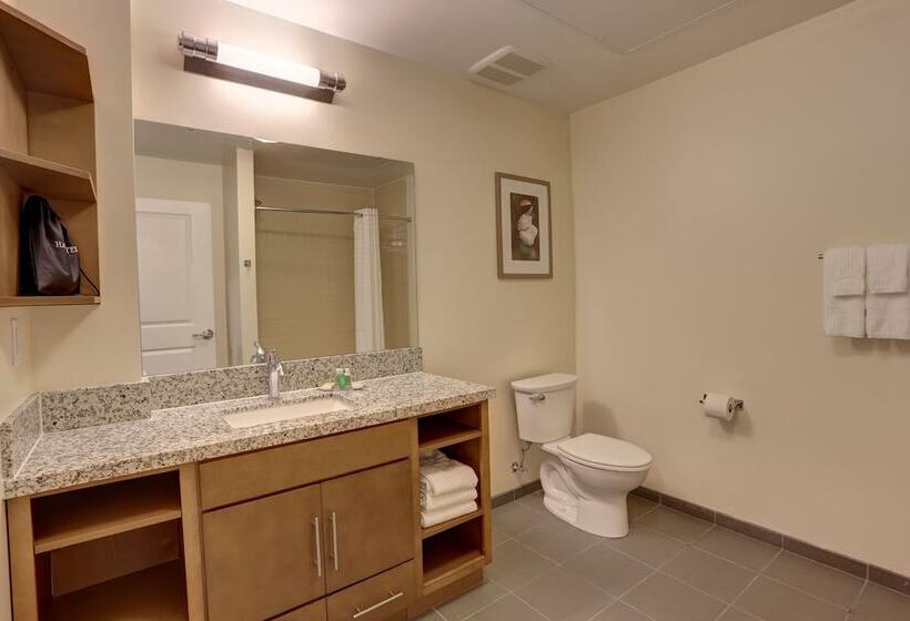 带双人床的标准工作室, Candlewood Suites   Safety Harbor, An Ihg