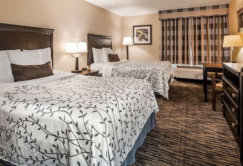 带2个双人床的标准工作室, Best Western Hazlet Inn