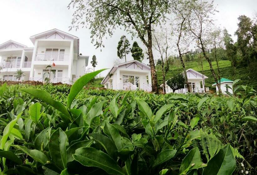منزل غرفة نوم واحدة, The Temi Bungalow South Sikkim