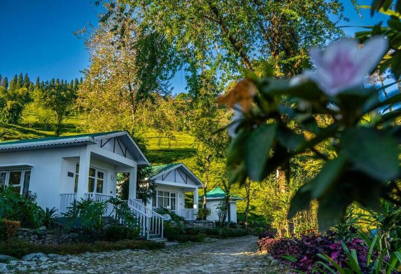 منزل غرفة نوم واحدة, The Temi Bungalow South Sikkim