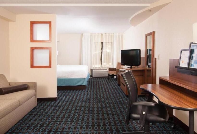 スイート, Fairfield Inn And Suites Atlanta Airport South/sullivan Road
