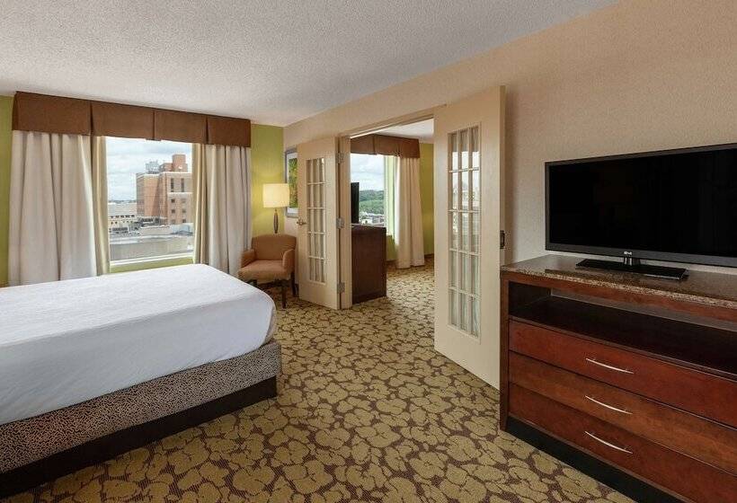 Люкс, Hilton Garden Inn Pittsburgh University Place