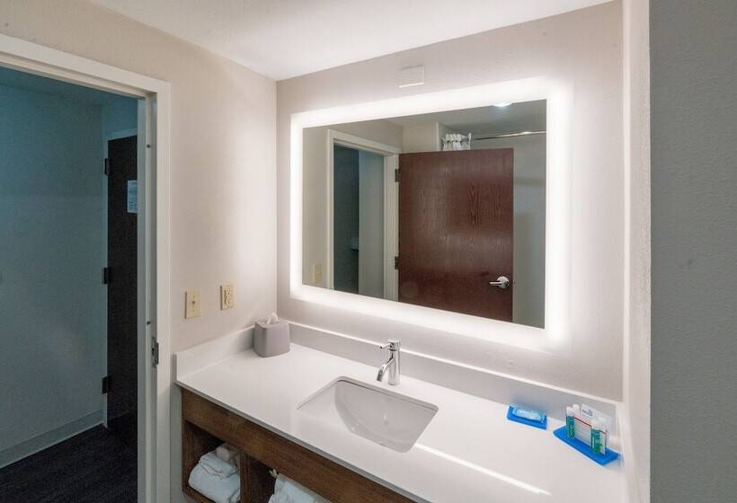 스위트, Holiday Inn Express Hotel & Suites Nashville Brentwood 65s