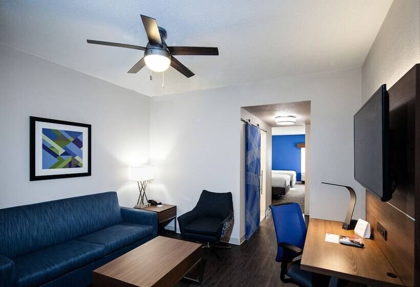 스위트, Holiday Inn Express Hotel & Suites Nashville Brentwood 65s