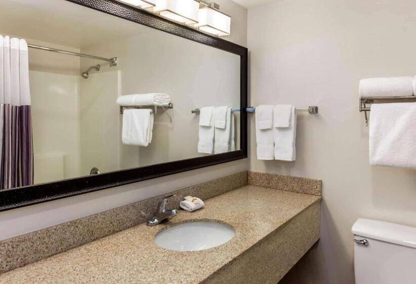 장애인을 위한 킹사이즈 침대 스탠다드 룸, La Quinta By Wyndham Milwaukee Bayshore Area