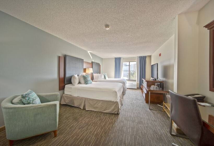 带2个双人床的标准工作室, Wingate By Wyndham And Williamson Conference Center
