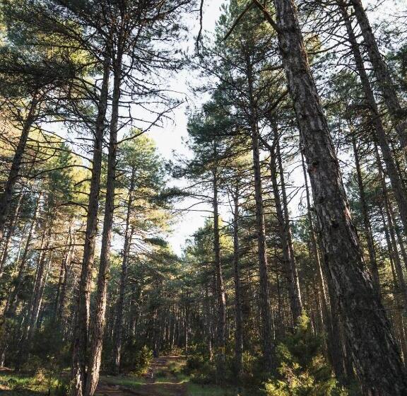 Номер Стандарт, Posada Real De Carreteros