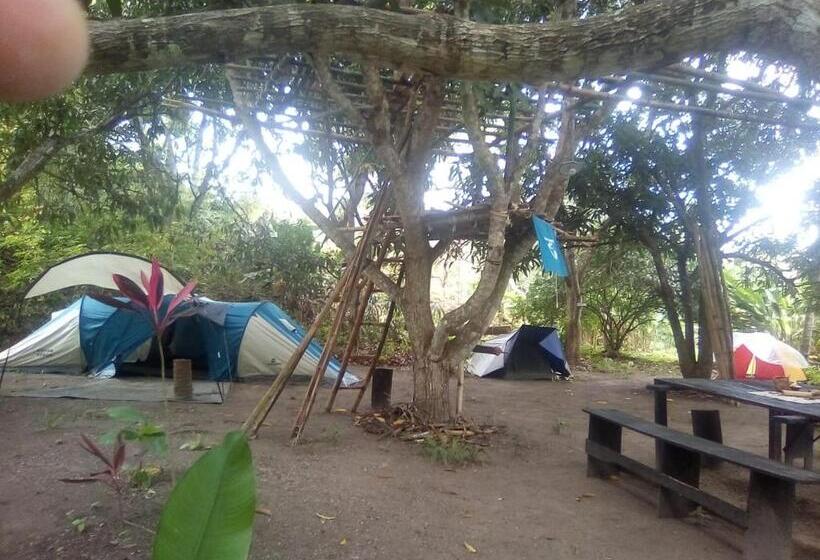 Standard Tent, Hospedaje Eden