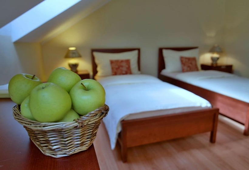 舒适型房间, Eco Friendly Hotel Dália