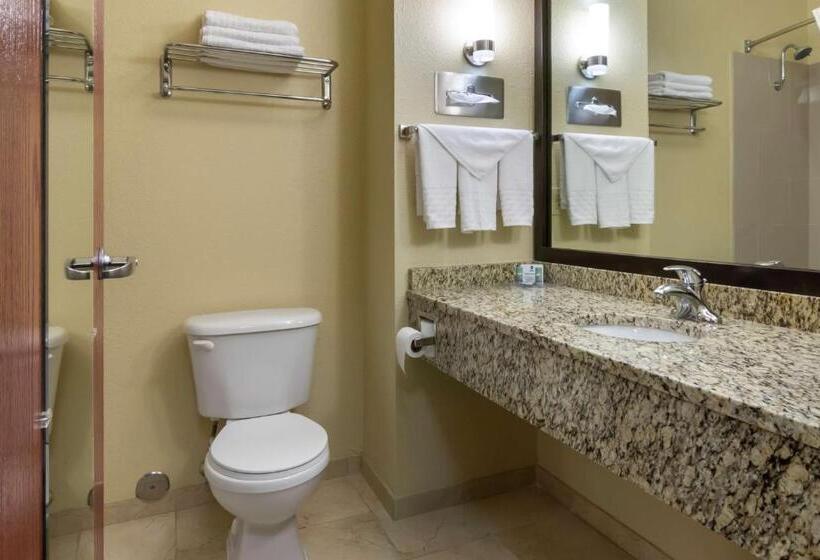Люкс Кровать Кинг, Best Western Governors Inn And Suites