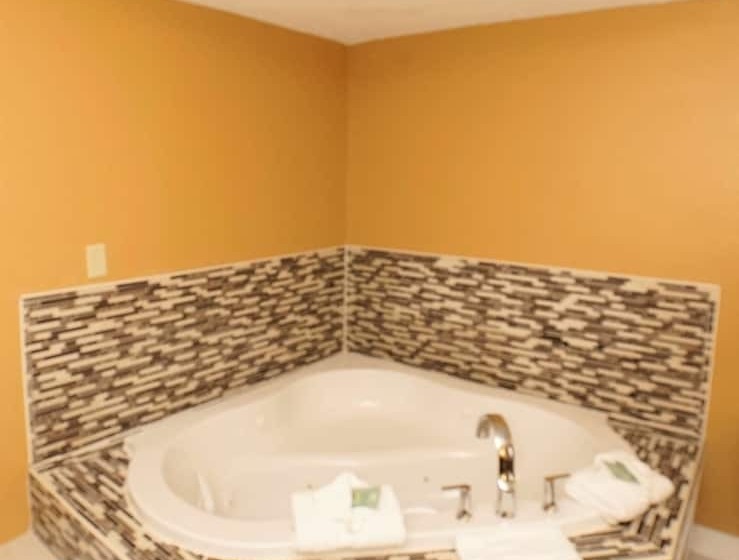 Suíte com Hidromassagem, Best Western Joliet Inn & Suites