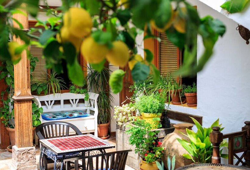 Номер Стандарт с Террасой, Boutique Hotel La Posada del Angel Ojén