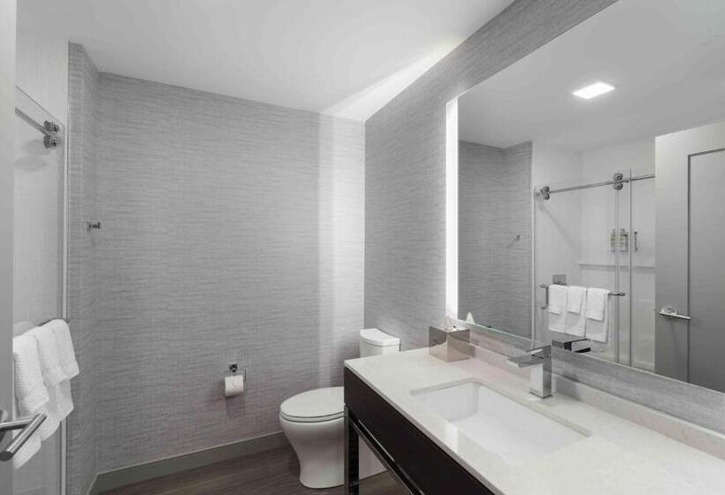 اتاق استاندارد با تخت بزرگ, Holiday Inn Express   Boston Logan Airport   Revere, An Ihg