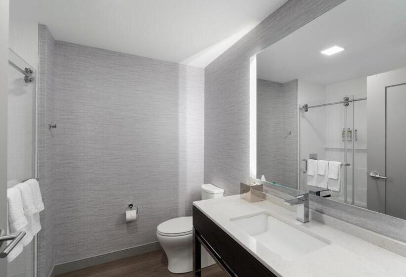 장애인을 위한 스탠다드 룸, Holiday Inn Express   Boston Logan Airport   Revere, An Ihg