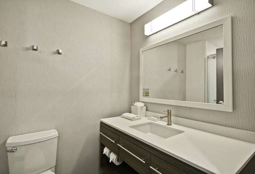 Студия Стандарт, Home2 Suites By Hilton Lewisville Dallas