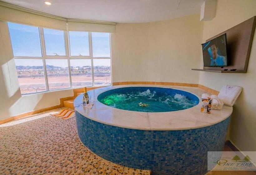 Люкс Повышенной Комфортности, Pinetree Suites Hail
