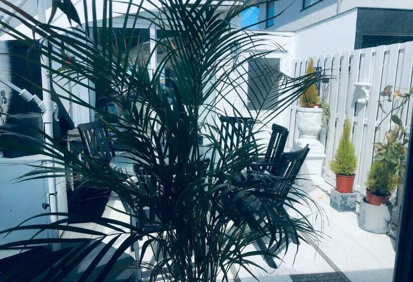 استودیو استاندارد با تخت کینگ, Casa Blanca Zandvoort
