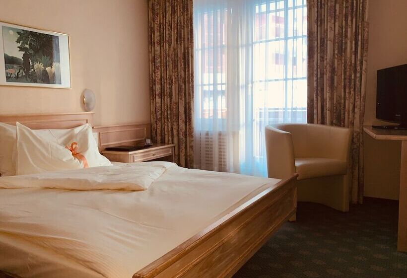 اتاق استاندارد یک نفره, Wellnesshotel Schweizerhof