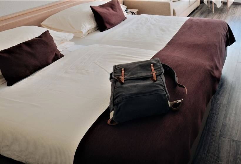 اتاق استاندارد, Wellnesshotel Schweizerhof