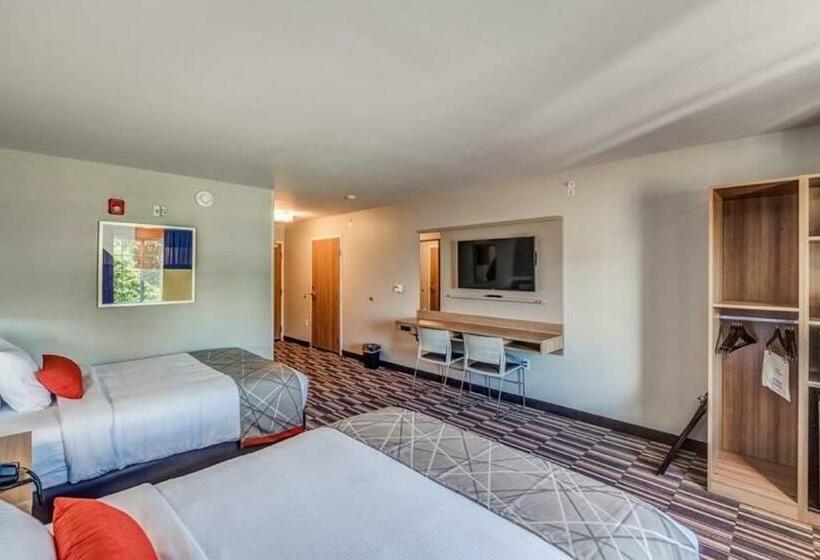 身障者適用スタンダードルーム, Microtel Inn & Suites By Wyndham Amsterdam